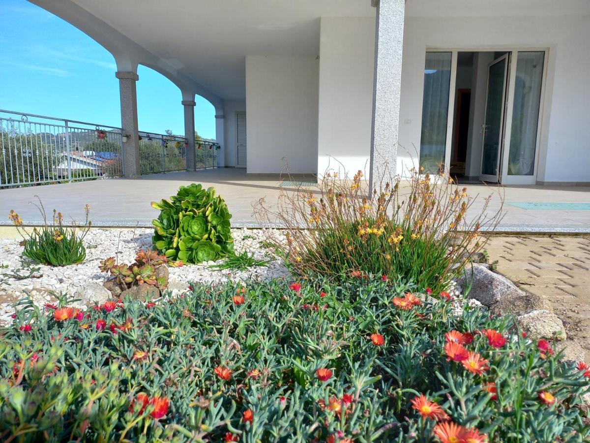 Agriturismo B&B Mares E Montes De Marrante Синискола Экстерьер фото