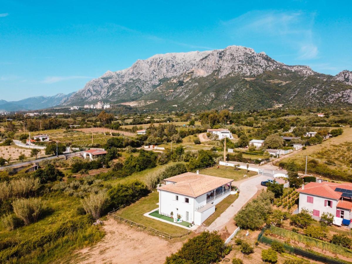 Agriturismo B&B Mares E Montes De Marrante Синискола Экстерьер фото