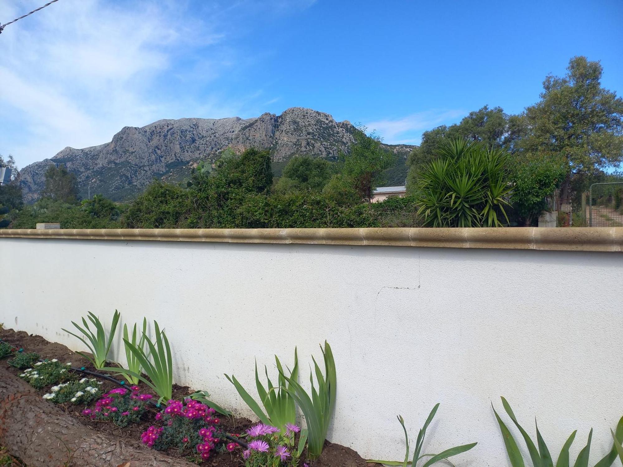 Agriturismo B&B Mares E Montes De Marrante Синискола Экстерьер фото